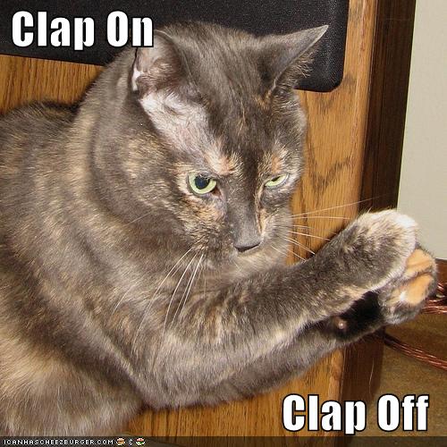 [funny-pictures-cat-clap-on.jpg]