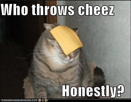 [cat+cheese.bmp]