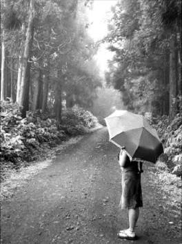 [caminho+guarda+chuva.jpg]
