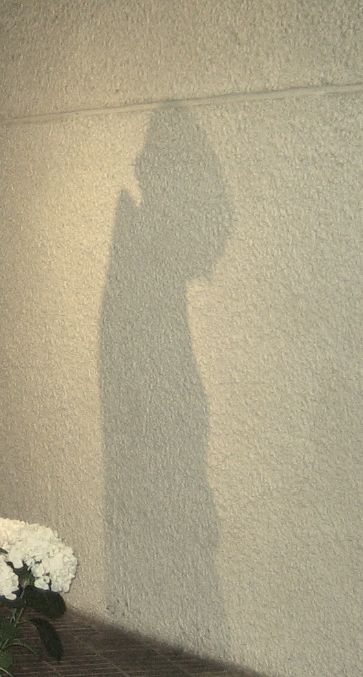 [shadow+on+the+wall.jpg]