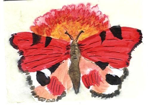 [23-01-08+vlinder+met+bloem+8x6+cm.jpg]