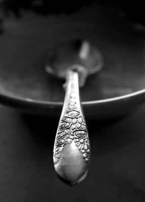 [silverspoon.jpg]