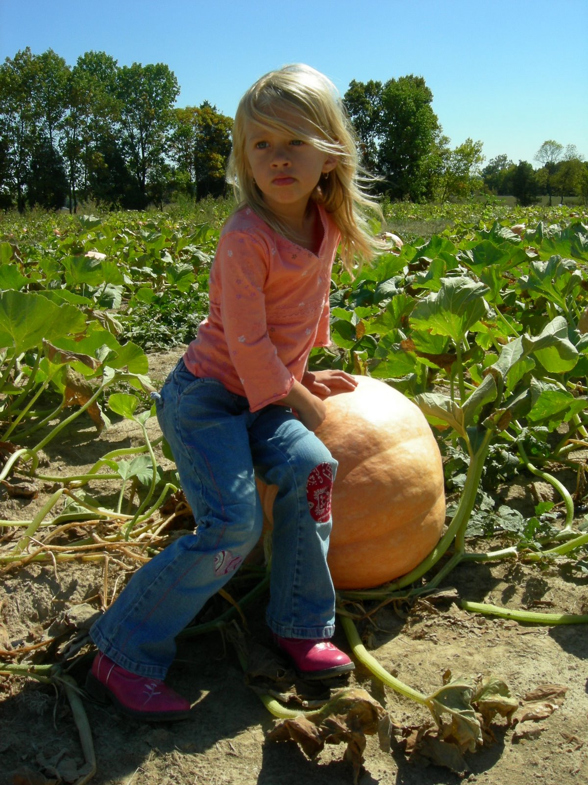 [pumpkin+all+to+herself.JPG]