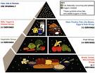 [FDA+Food+Pyramid.jpg]
