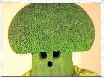 [broccoli-man.jpg]