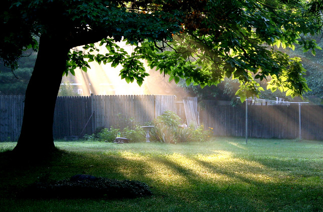 [Backyard+peaceful.jpg]