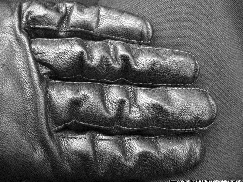 [Leather-Glove-2.jpg]