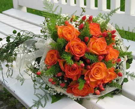 [orange-roses.jpg]