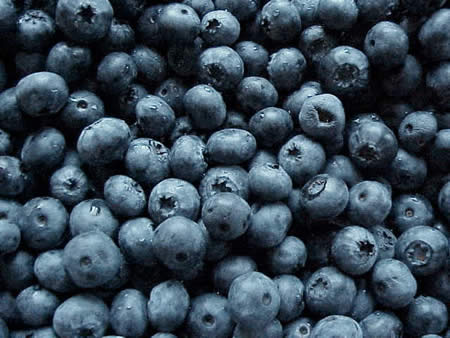 [Blueberry.jpg]