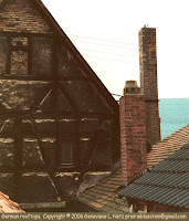 German rooftops