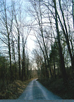 Rural road, Christian County, KY