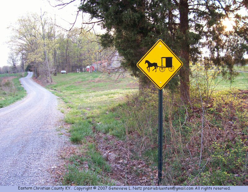 Rural road with horse and buggy hazard sign