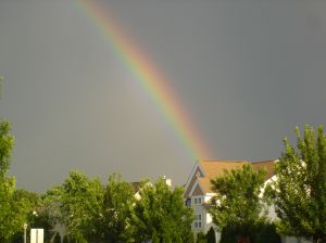 [830239_rainbow.jpg]