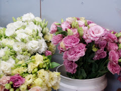 <a href="http://florasourcewholesaleflowers.googlepages.com">Flowers</a>