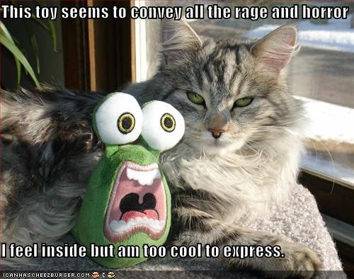 [funny-pictures-calm-cat-crazy-toy.jpg]