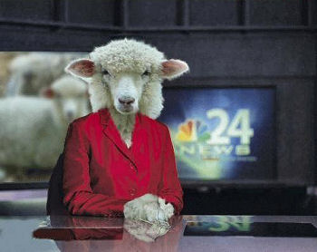 [Sheep_NewscasterM.jpg]