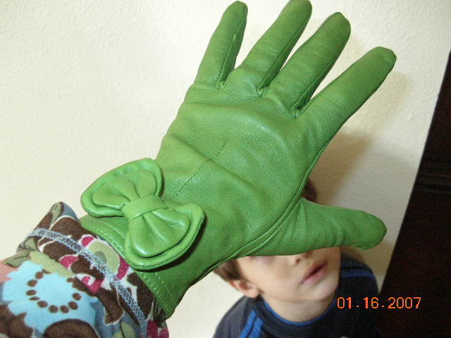 [gloves+002.jpg]