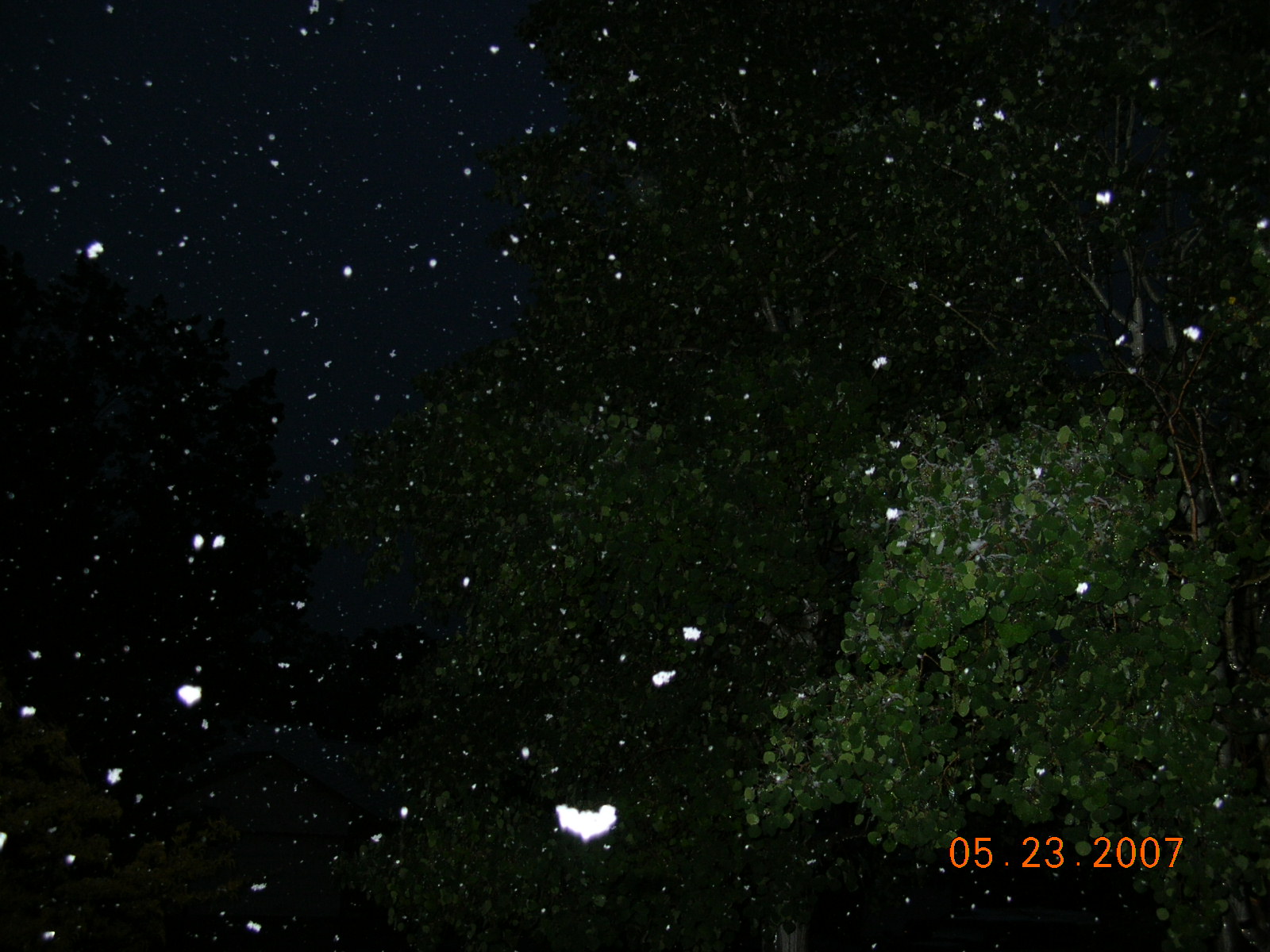 [snow.4.5.23.07.jpg]