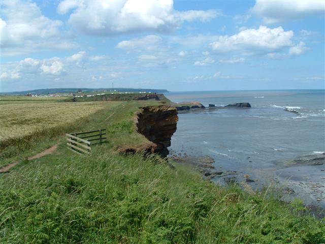 [056+Cliff+path+erosion+(Small).JPG]