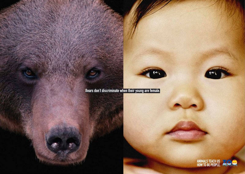 [learn+from+animals_bears.jpg]