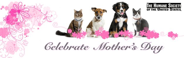[HSUS_mothers_day_header.jpg]
