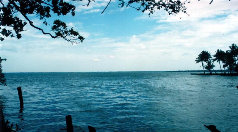 [Kumarakom+Lake+,+Kottayam.jpg]