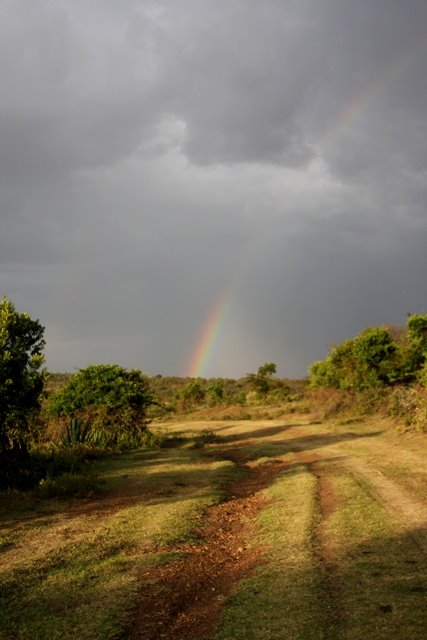 [African+Rainbow.jpg]