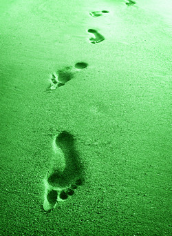 [greenfootprints.jpg]