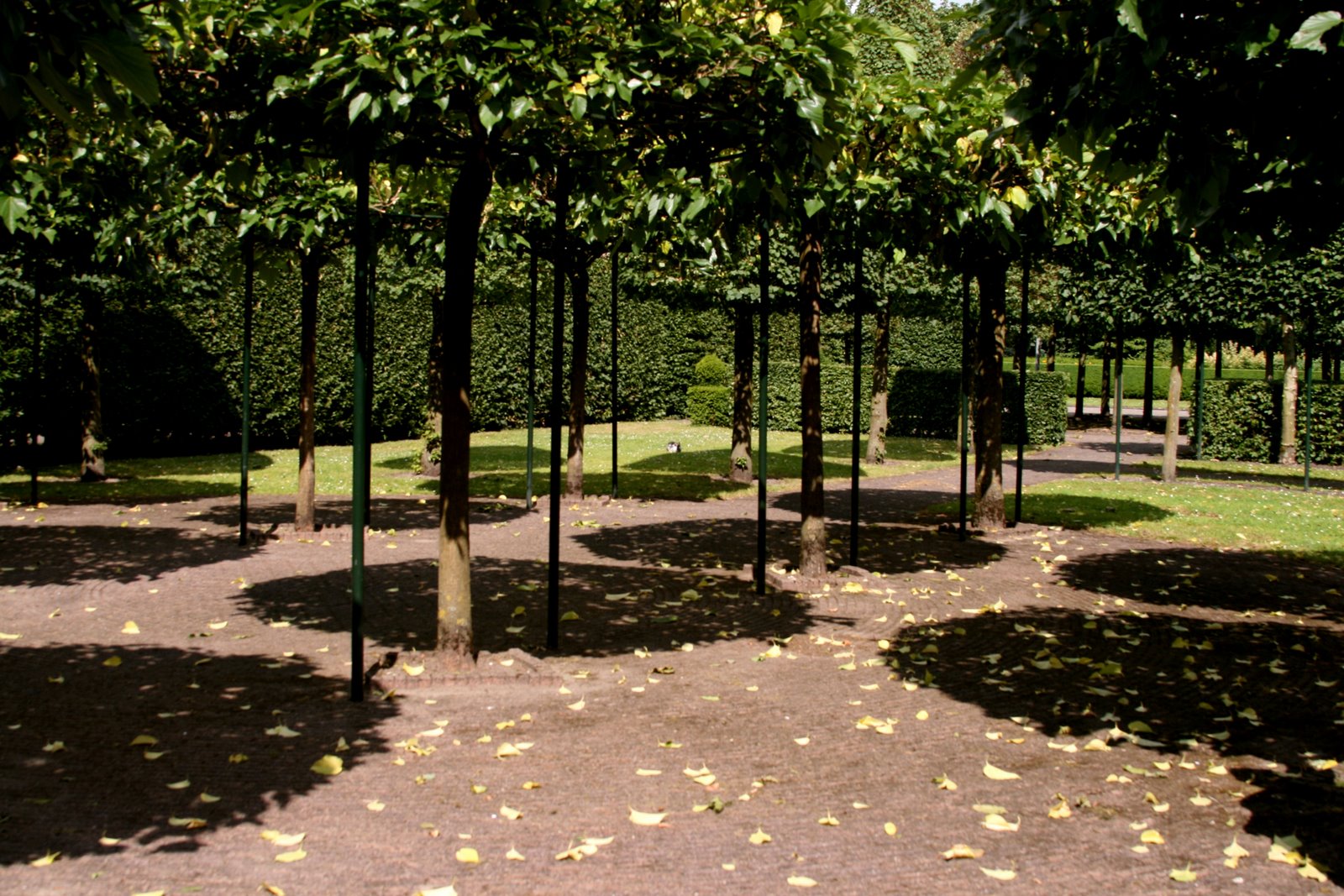 [amstelpark+shadow+circles.jpg]