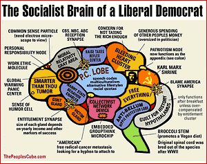[Brain_Socialist_300.gif]