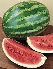 [watermelon.jpg]