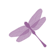 [siobhans+dragonfly.gif]