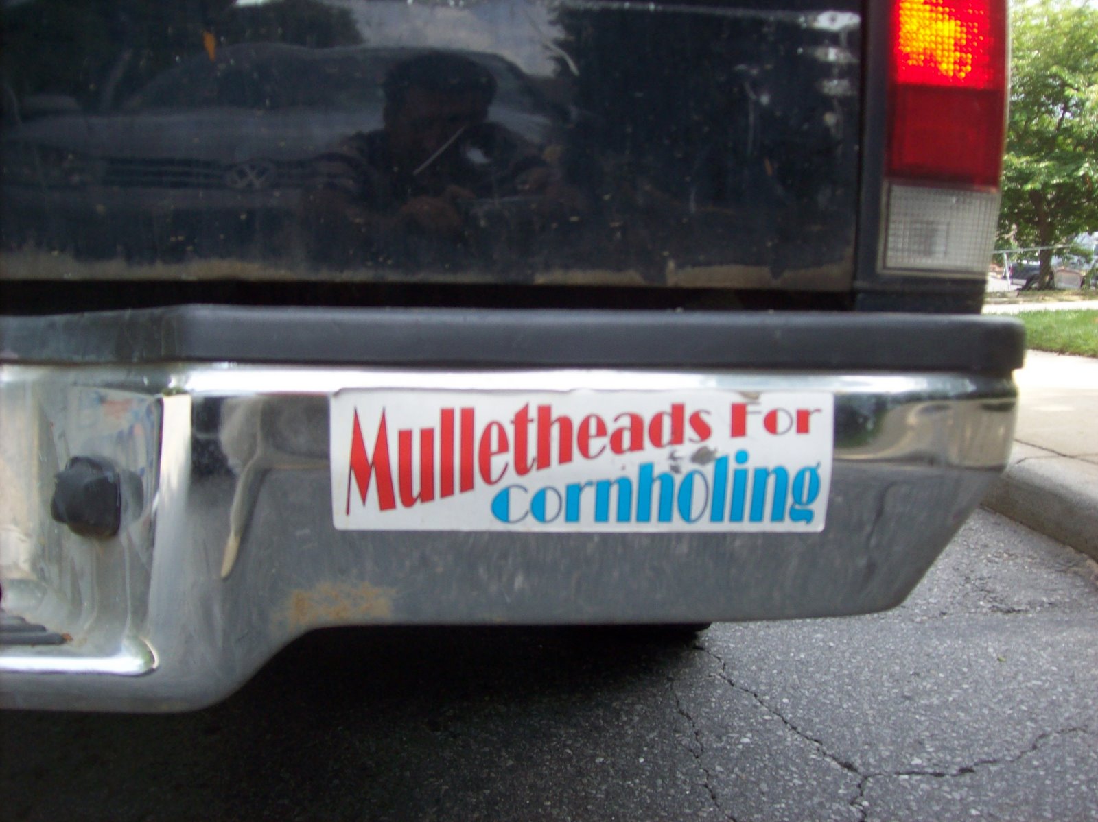 [mulletheads+for+cornholing.jpg]