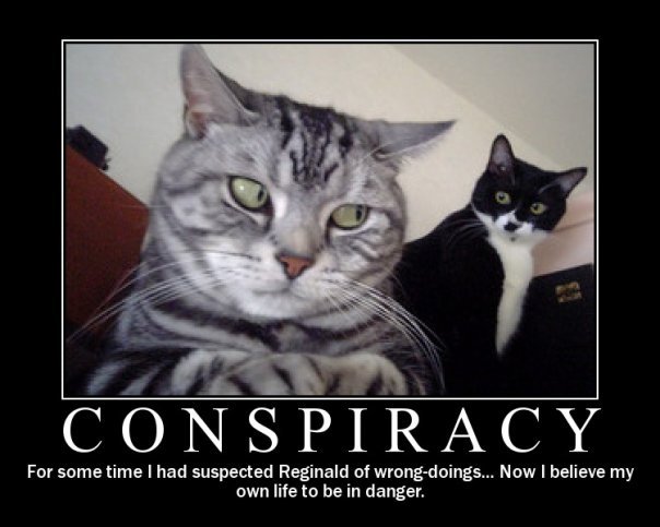 [kitty+conspiracy.bmp]