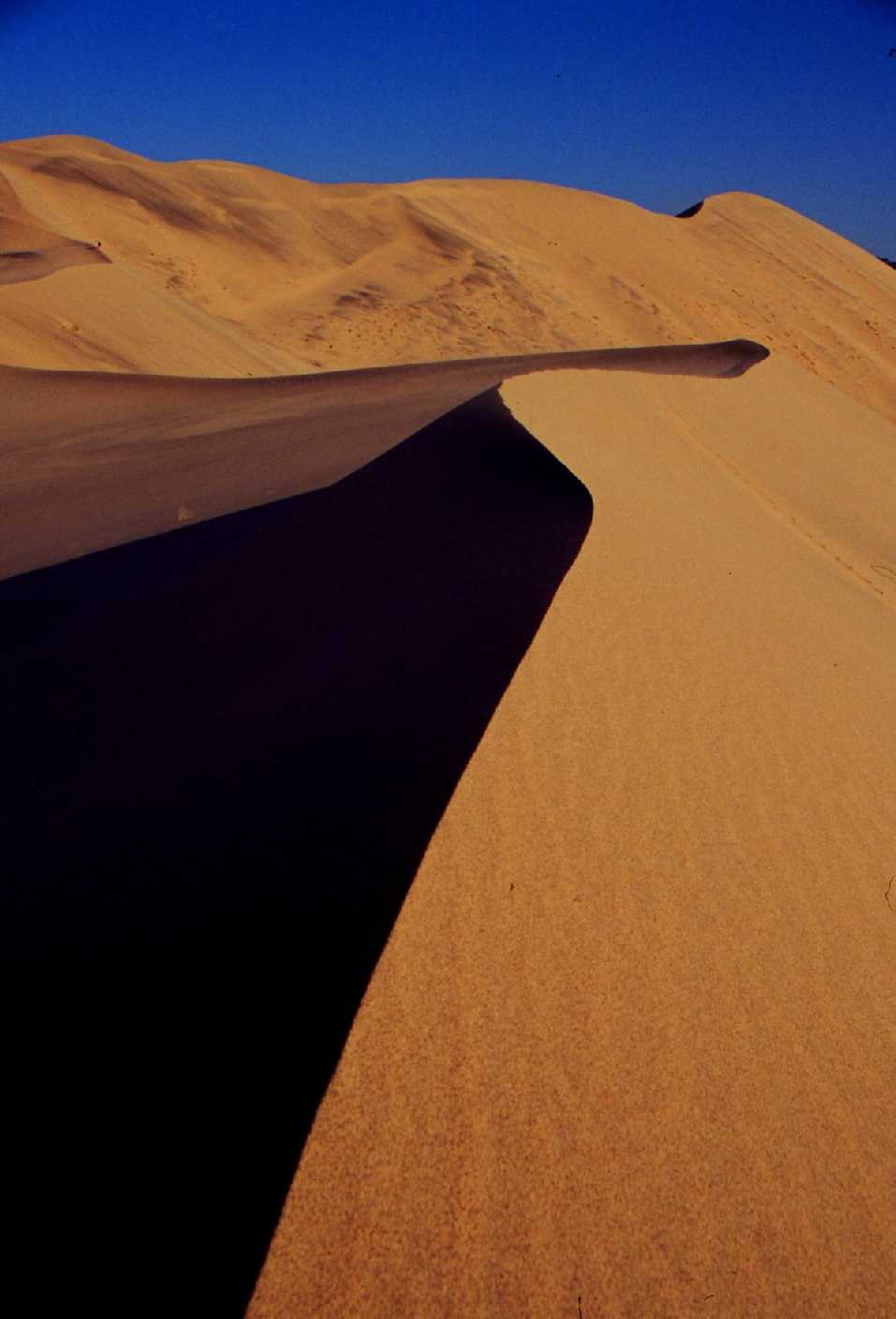 [dunes.JPG]