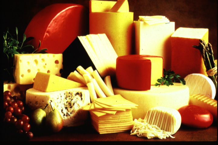 [cheese.jpg]