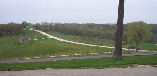 [park+farm+vineyards.jpg]