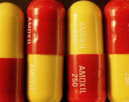 [pills-red-and-yellow-antibiotics-closeup-1-AJHD.jpg]