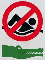 [crocodile-sign.jpg]