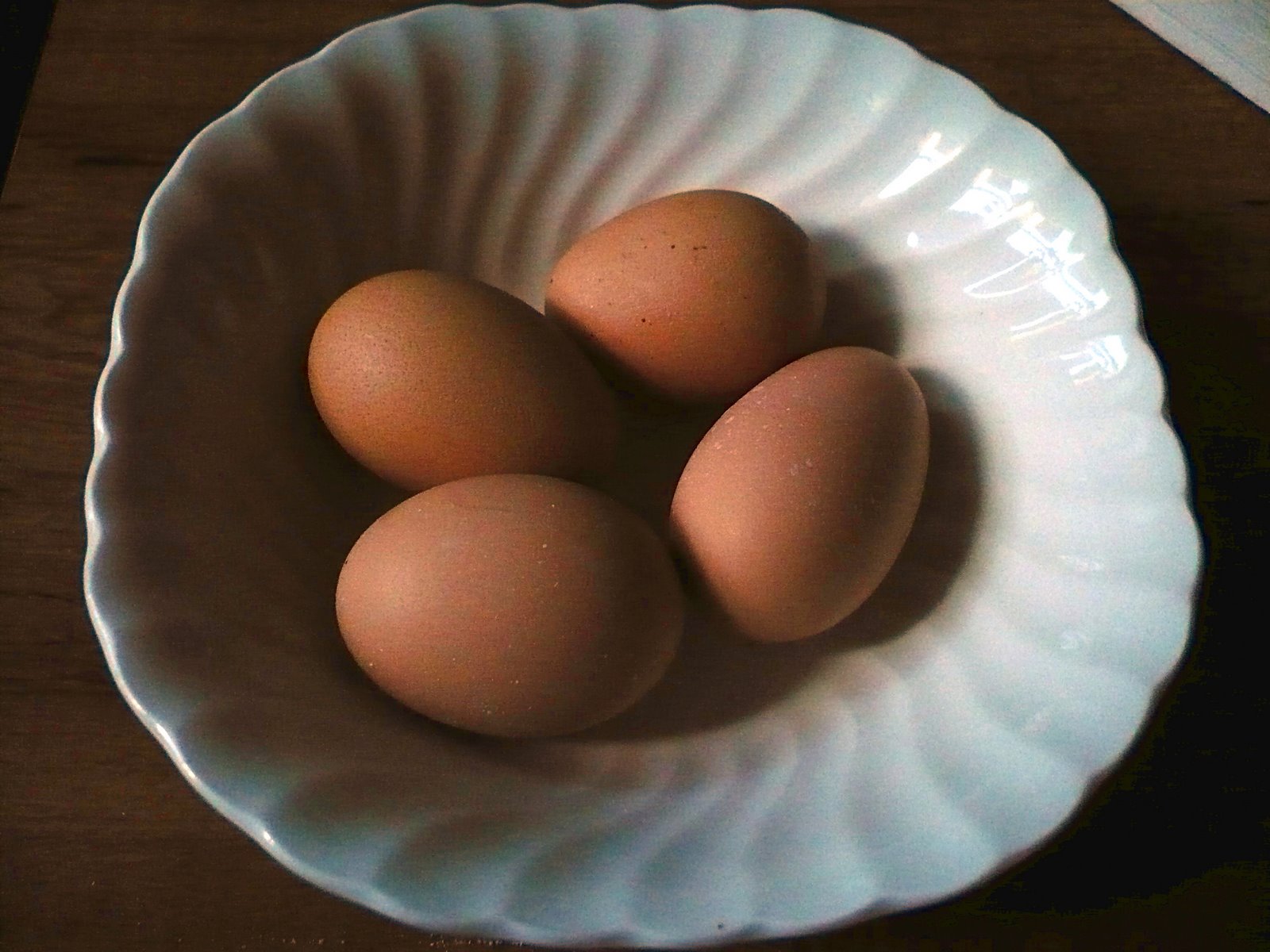 [first+eggs.jpg]