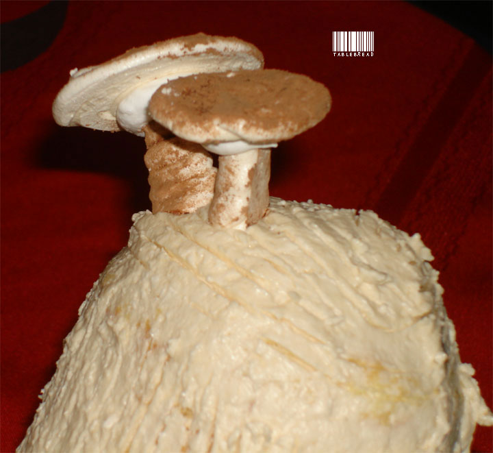 [mushrooms2.jpg]