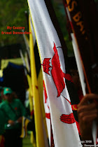Brunei"s Flag