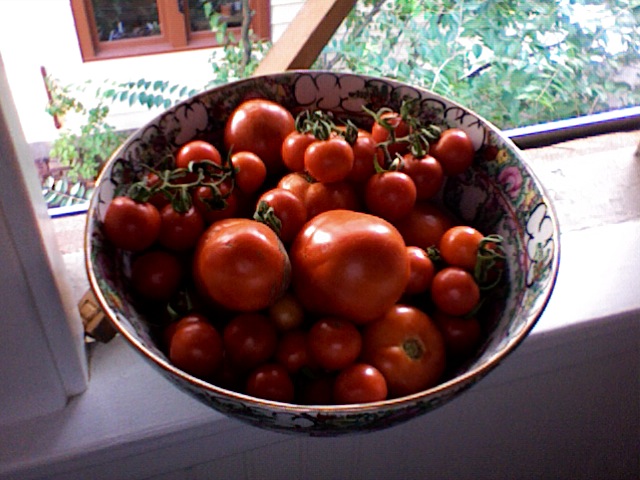 [bountiful+tomatoes.jpg]