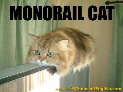 [funny-monorail-cat.jpg]