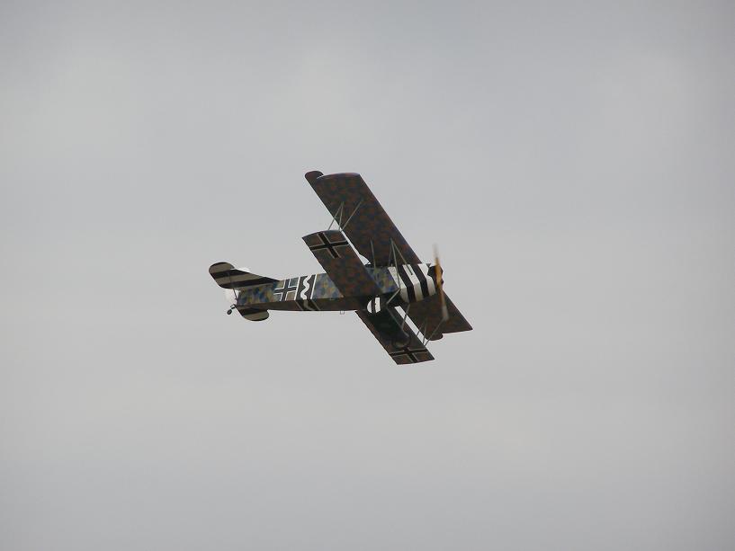 Fokker D.V11