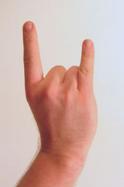 [180px-Gesture_raised_fist_with_index_and_pinky_lifted.jpg]