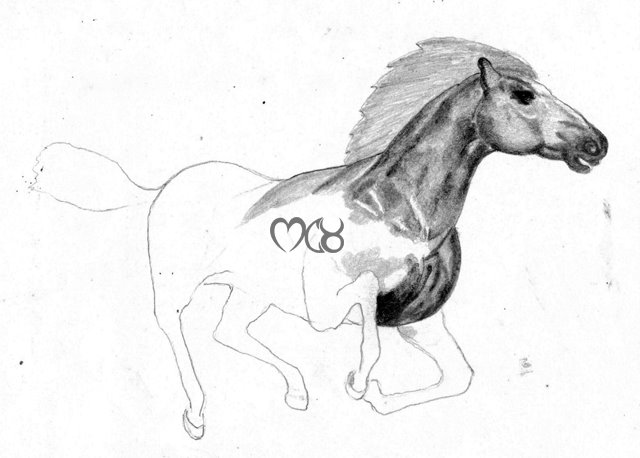 [Horse1.jpg]