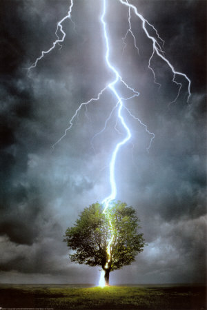 [2400-4570~Lightning-Striking-Tree-Posters.jpg]