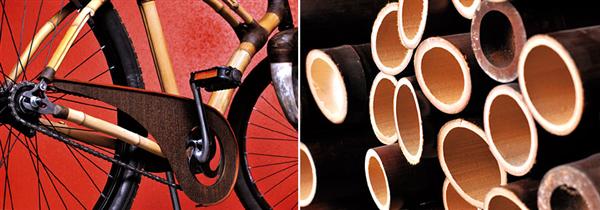 [Bamboo-Bicycle.jpg]