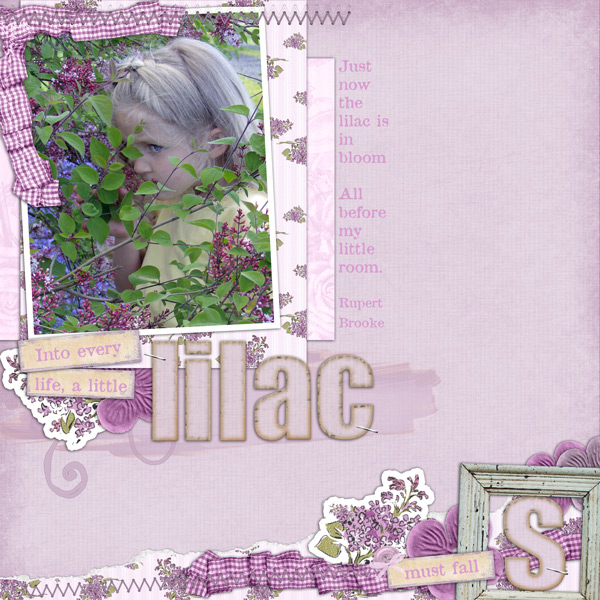 [Lilac1.jpg]